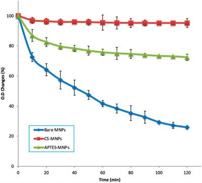 The development and evaluation of chitosan-coated enzyme magnetic nanoparticles for cellulose hydrolysis